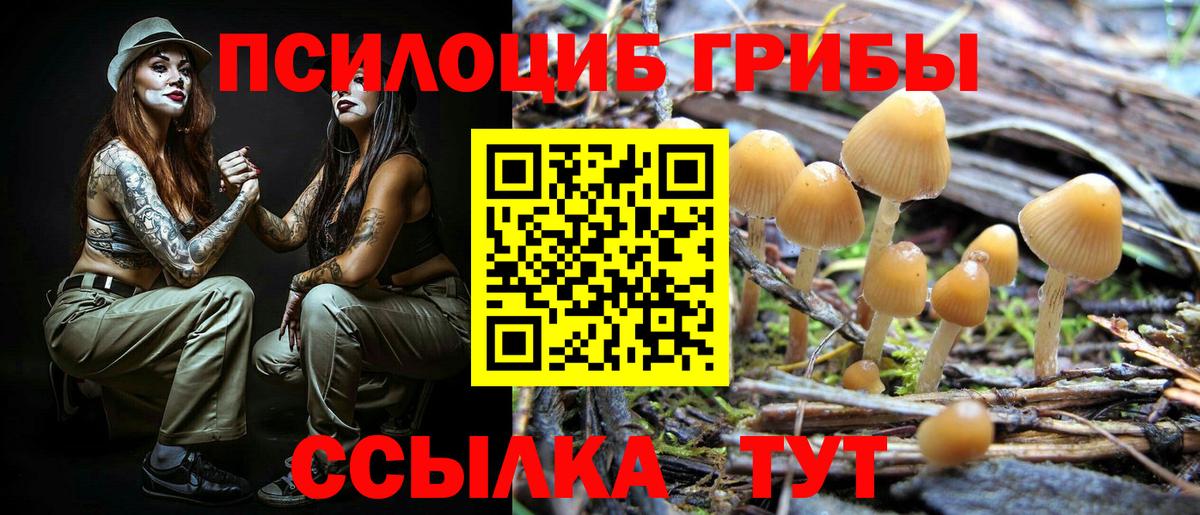 Шелехов  Псилоцибиновые грибы мухоморы  Галлюциногенные грибы Cubensis  наркотики  Вход с VPN 