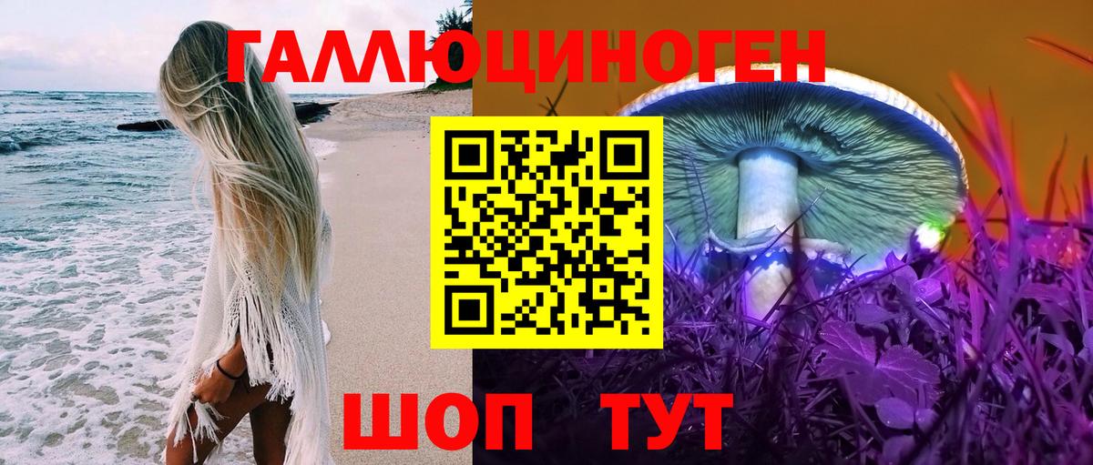 Галлюциногенные грибы Psilocybine cubensis Шелехов
